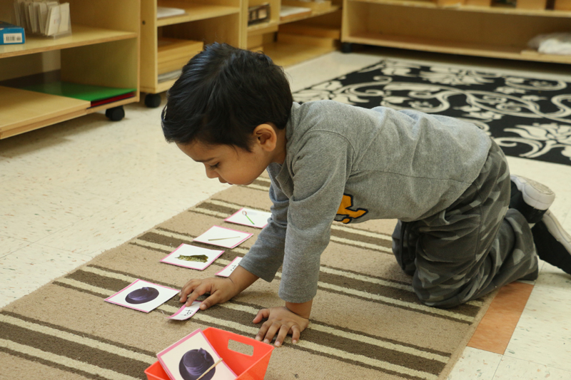 Joyous Montessori - Day Care/Preschool_21