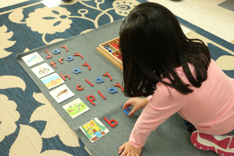 Joyous Montessori - Day Care/Preschool