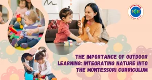 Montessori-Curriculum