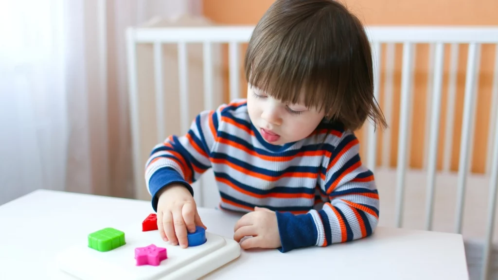 Shape Sorters