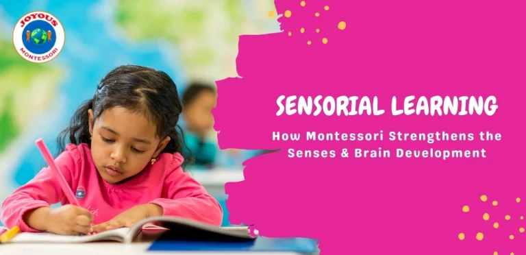 Sensorial Learning