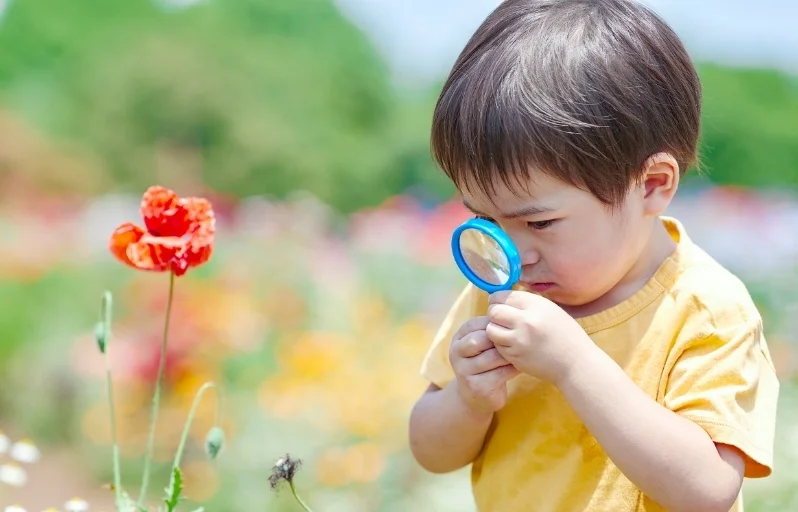 Why Parents in Keller Choose Montessori